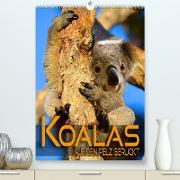 Koalas auf den Pelz gerückt (Premium, hochwertiger DIN A2 Wandkalender 2022, Kunstdruck in Hochglanz)