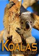 Koalas auf den Pelz gerückt (Wandkalender 2022 DIN A3 hoch)