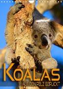 Koalas auf den Pelz gerückt (Wandkalender 2022 DIN A4 hoch)