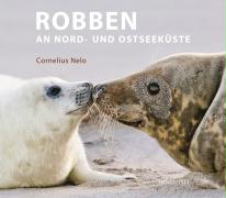 Robben an Nord- und Ostseeküste