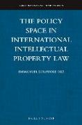 The Policy Space in International Intellectual Property Law