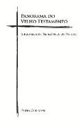 Panorama Do Velho Testamento: Biblioteca de Referencia Do Pastor Volume 2