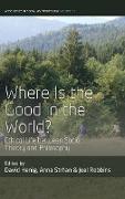 Where is the Good in the World?