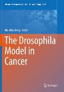 The Drosophila Model in Cancer
