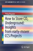 How to Store CO2 Underground: Insights from early-mover CCS Projects