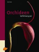 Orchideen