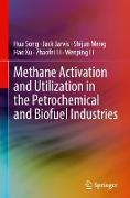 Methane Activation and Utilization in the Petrochemical and Biofuel Industries