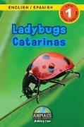 Ladybugs / Catarinas