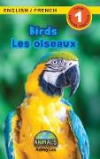 Birds / Les oiseaux