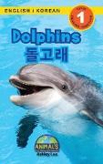 Dolphins / ¿¿¿