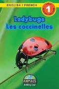 Ladybugs / Les coccinelles