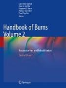 Handbook of Burns Volume 2