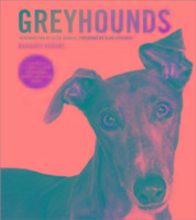 Greyhounds