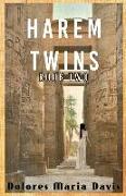 Harem Twins Book Two