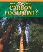 How Big Is Your Carbon Footprint?