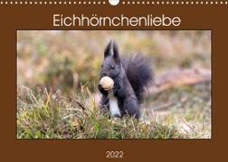 Eichhörnchenliebe (Wandkalender 2022 DIN A3 quer)