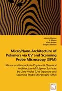 Micro/Nano-Architecture of Polymers via UV and Scanning Probe Microscopy (SPM)