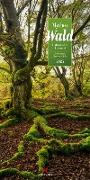 Mythos Wald - Literatur-Kalender 2023