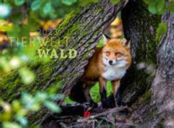 Tierwelt Wald Kalender 2023