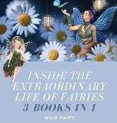 Inside the Extraordinary Life of Fairies
