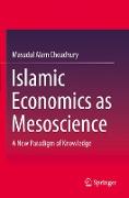 Islamic Economics as Mesoscience