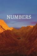 Numbers Bible Journal