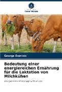 Bedeutung einer energiereichen Ernährung für die Laktation von Milchkühen