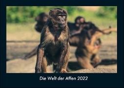Die Welt der Affen 2022 Fotokalender DIN A4
