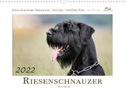 Riesenschnauzer... Treue Seelen (Wandkalender 2022 DIN A3 quer)