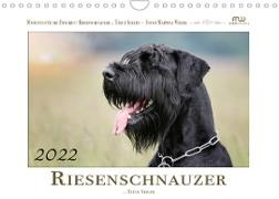 Riesenschnauzer... Treue Seelen (Wandkalender 2022 DIN A4 quer)