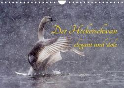 Der Höckerschwan elegant und stolz (Wandkalender 2022 DIN A4 quer)