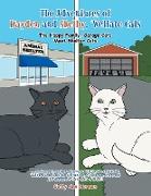 The Adventures of Hayden and Shelby, 'Welfare Cats