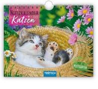 Trötsch Notizkalender Querformat Notizkalender Katzen 2023