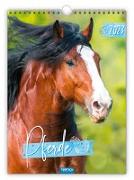 Classickalender "Pferde" 2023