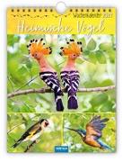 Wochenkalender zum Hängen Heimische Vögel 2023