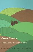 Corn Plants, Their Uses and Ways of Life