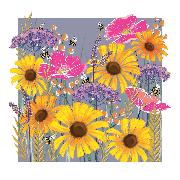 Doppelkarte. Gallery - Blank / Sunflowers