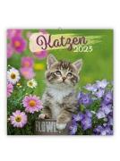 Trötsch Broschürenkalender Katzen 2023
