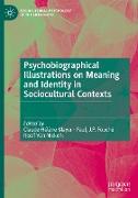 Psychobiographical Illustrations on Meaning and Identity in Sociocultural Contexts