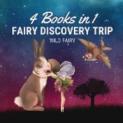 Fairy Discovery Trip