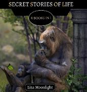 Secret Stories of Life
