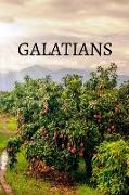 Galatians Bible Journal