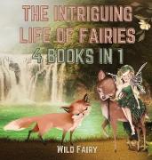 The Intriguing Life of Fairies