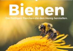 Bienen - Die fleißigen Tierchen die den Honig herstellen. (Wandkalender 2022 DIN A2 quer)