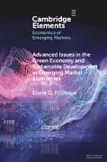 Advanced Issues in the Green Economy and Sustainable Development in Emerging Market Economies