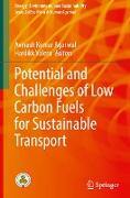 Potential and Challenges of Low Carbon Fuels for Sustainable Transport