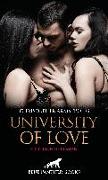 University of Love | Erotischer Roman