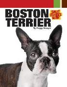 Boston Terrier