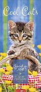 Cool Cats Familienplaner 2023. Großer Foto-Terminkalender mit 5 Spalten für Familien. Schöner Familien-Wandkalender 2023 mit süßen Katzen-Fotos. 22x48 cm