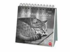 Wegler Katzen Weisheiten Premium-Postkartenkalender 2023. 53 Postkarten mit zauberhaften Katzenfotos und Zitaten in einem kleinen Kalender für Katzenfans
